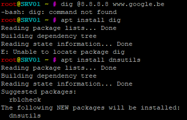 dig command not found